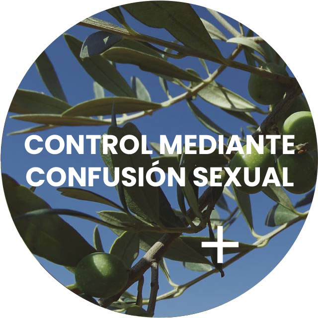 control mediante confusion sexual